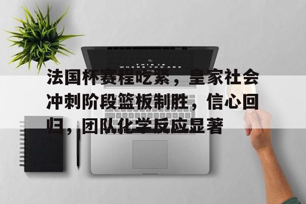 开云,kaiyun-法国杯赛程吃紧，皇家社会冲刺阶段篮板制胜，信心回归，团队化学反应显著的简单介绍