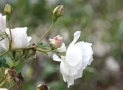 开云登录入口-欧超杯是什么比赛